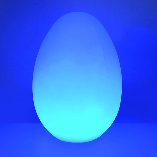 Sanselys – Egg